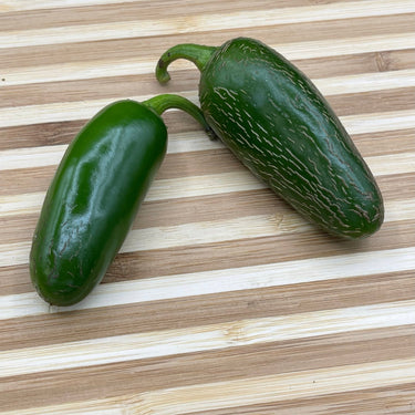 Jalapeño M - Seeds - The Pepper Pantry (Formerly Marie Sharp's)